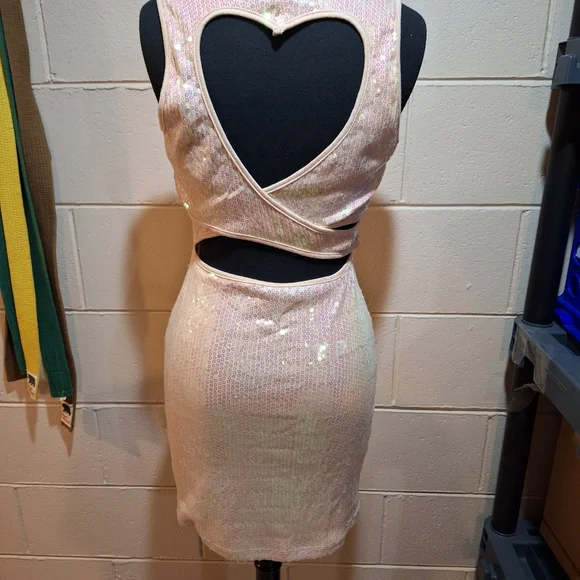 Iridescent Pink Sequin Bodycon Mini Dress-Cute Back - Picture 4 of 14